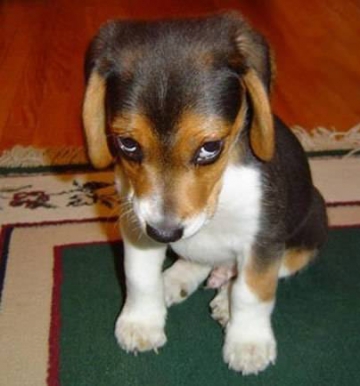 Good People Bad People Guilt